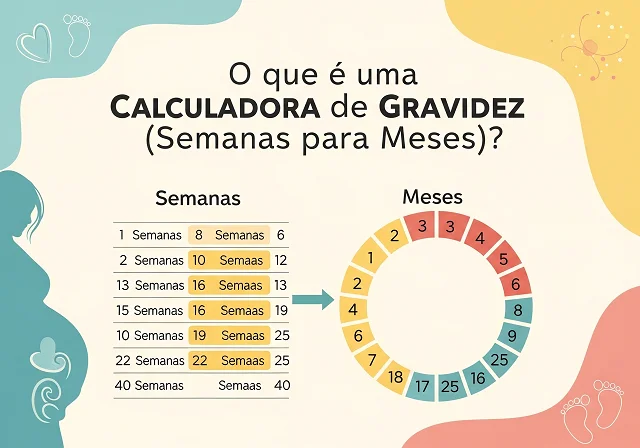 O que é uma Calculadora de Gravidez (Semanas para Meses)?