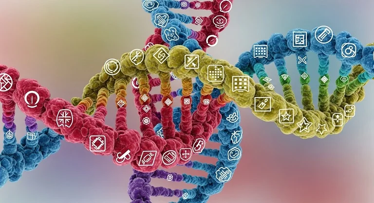 O que é um Cruzamento Triíbrido?