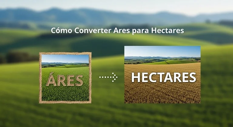 Como Converter Ares para Hectares